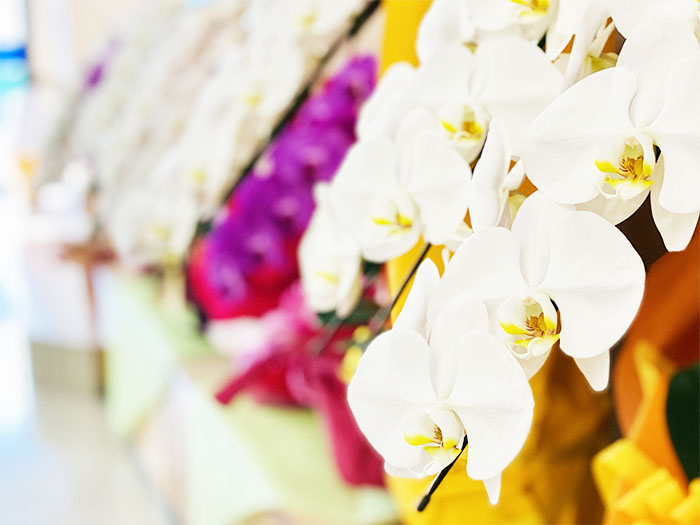 プレゼントには是非ビジネス向けフラワーギフトを